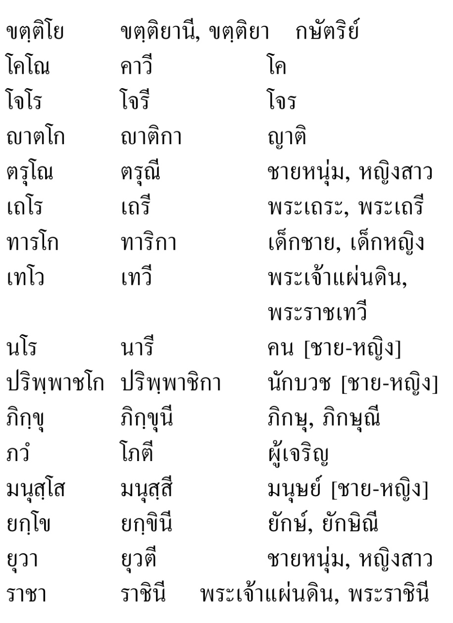 03 ลิงค์