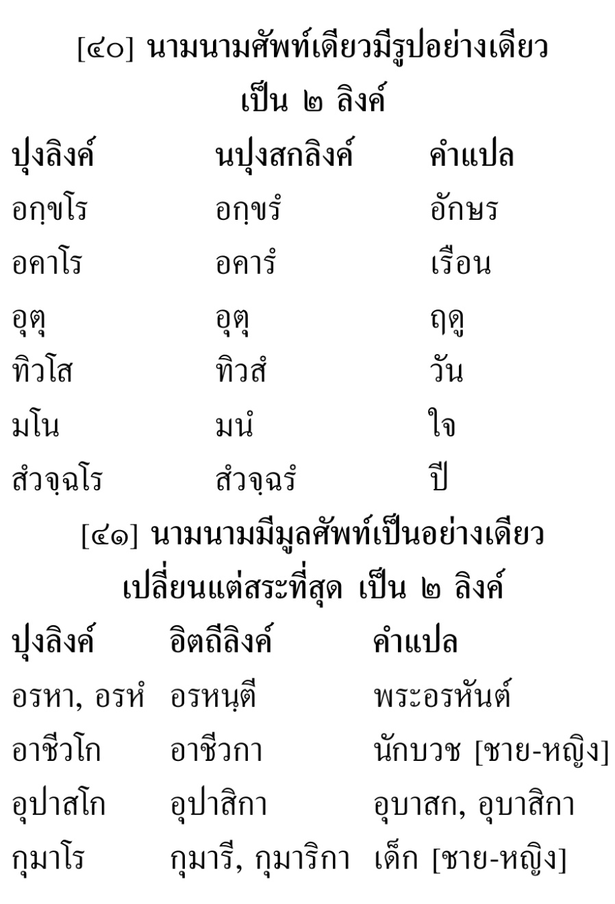 03 ลิงค์