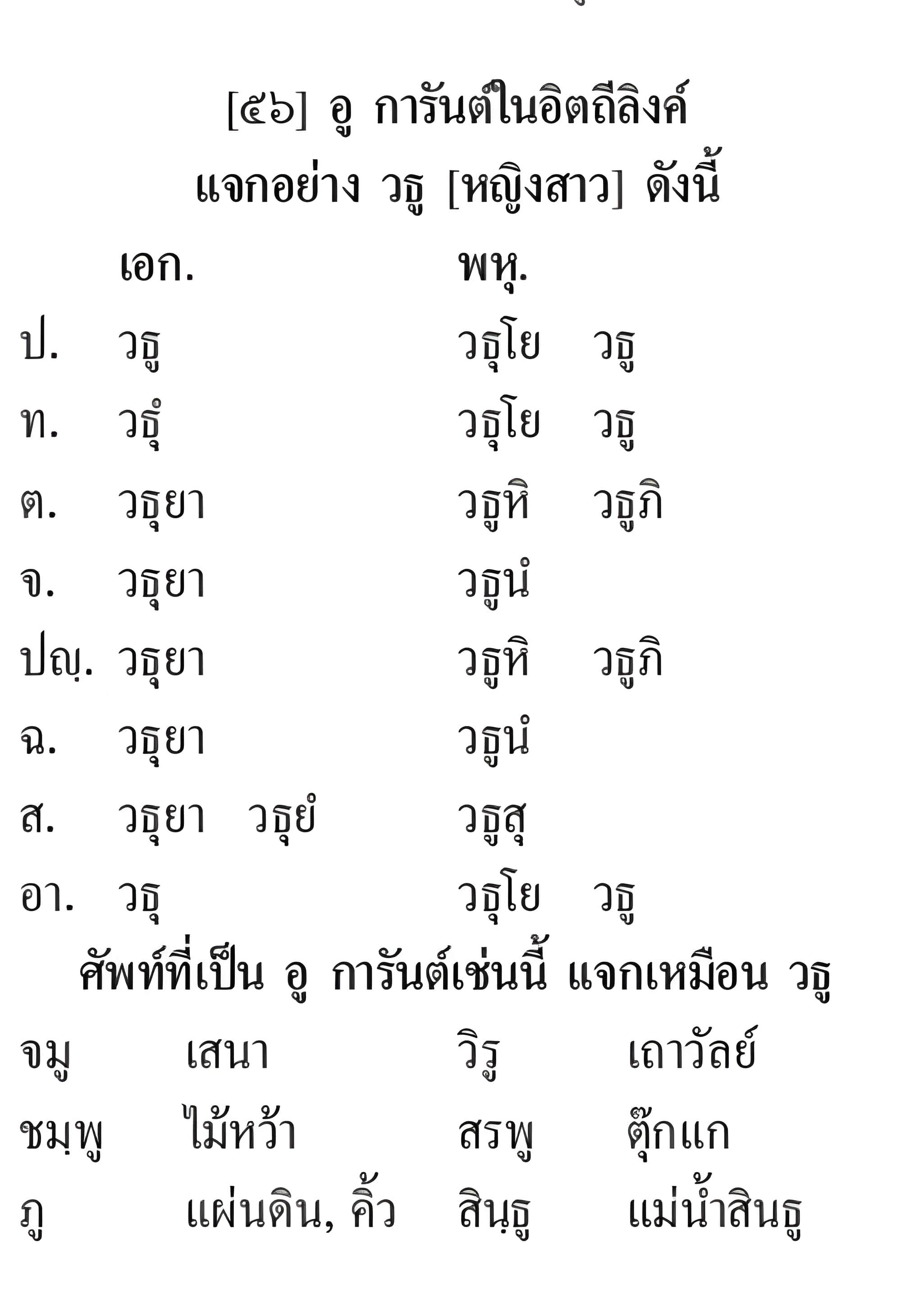 009 แจกอิตถีลิงค์