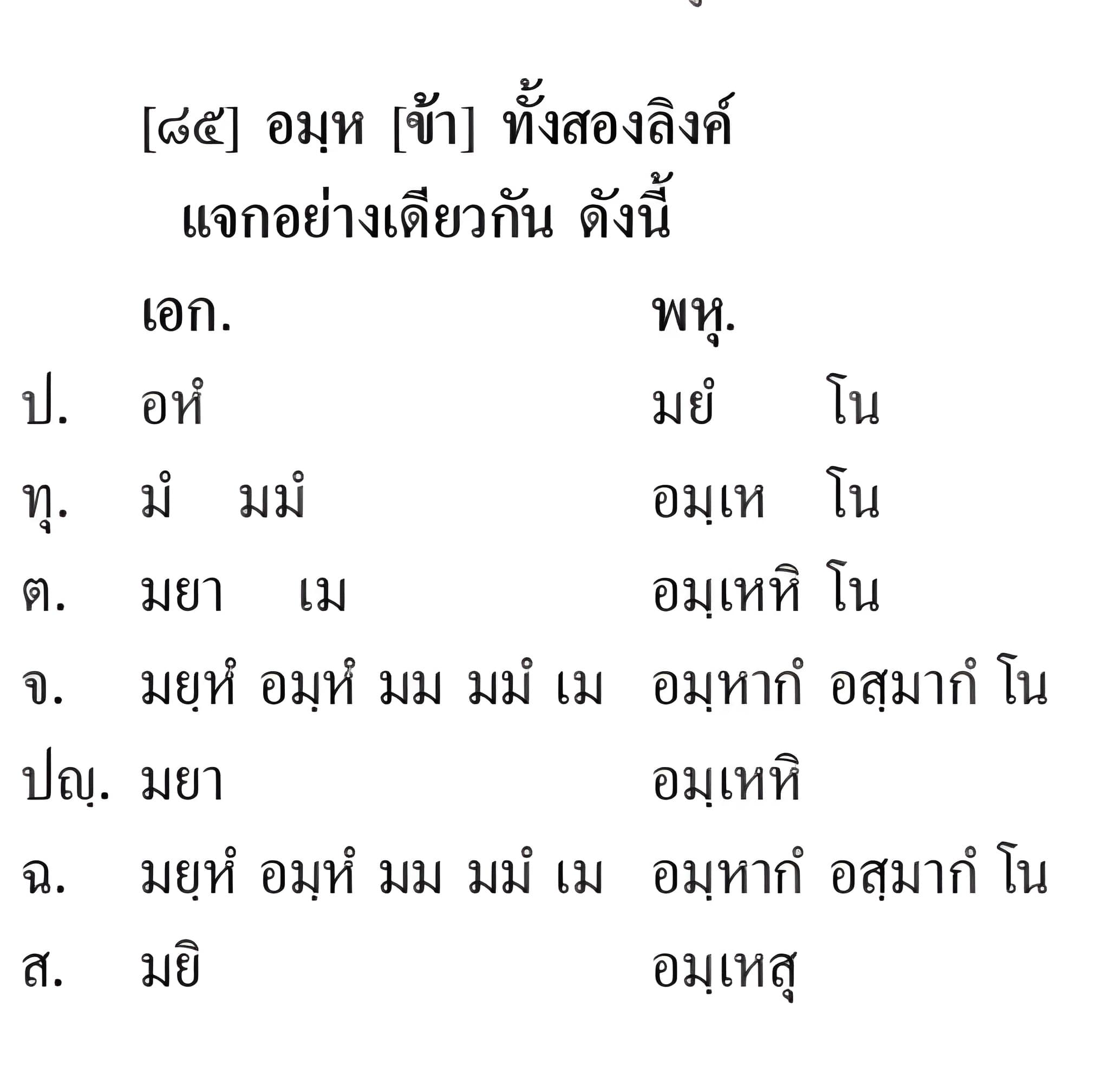019 แจกปุริสสัพพนาม